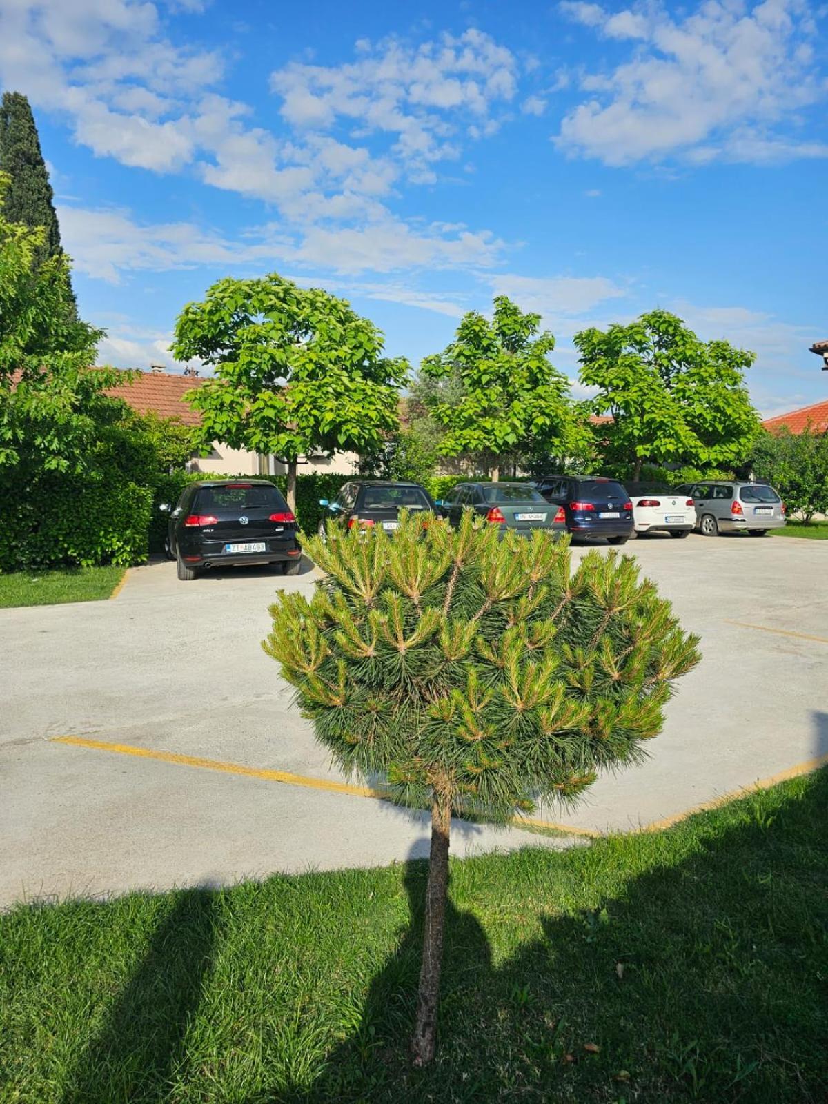 Aerodrom Podgorica